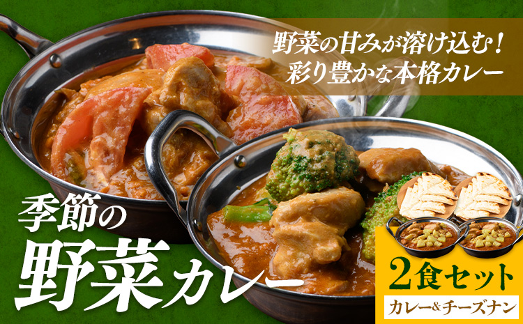 季節の野菜カレー チーズナン 2食セット ジャムナコーポレーション株式会社 《30日以内に出荷予定(土日祝除く)》千葉県 我孫子市 野菜 カレー ベジタブルカレー スパイス チーズ ナン インド 本格的