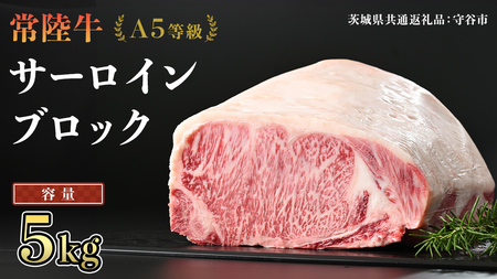 【 常陸牛 】 A5等級 サーロイン ブロック 選べる容量 5kg (茨城県共通返礼品) 国産 ステーキ 焼き肉 ブロック肉 牛肉 やきにく ヒタチギュウ ひたちぎゅう ブランド牛肉 ブランド牛 国産牛 黒毛和牛 和牛 国産黒毛和牛 お肉 A5ランク