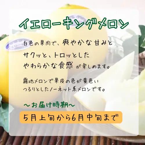 青果市場の野菜ソムリエ厳選 ジューシー メロン 3兄弟 定期便 全3回
