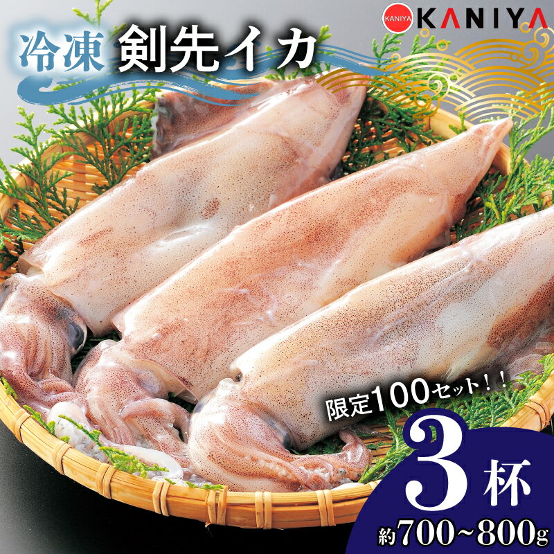 【ふるさと納税】 100セット限定！ 期間限定寄附額変更中！ イカ 剣先イカ 約 700g ~ 800g 冷凍 いか 3杯 お刺身用 生食可能 ケンサキイカ おいしい 剣先いか 急速 冷凍 直送 CAS凍結 イカ 新鮮 海産物 山口県産 ご飯 蟹屋 KNY-KE01-sp 下関 山口 【 14営業日以内発送 】