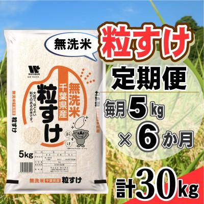 ふるさと納税 大網白里市 【毎月定期便】粒すけ 無洗米 5kg (5kg×1袋)全6回