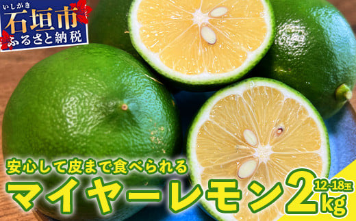 
            《2025年7月下旬以降順次発送》こだわりの青切りマイヤーレモン 約2kg (12～18個) 【 沖縄 石垣 数量限定 フルーツ レモン マイヤー メイヤー こだわり 】TF-27-1
          