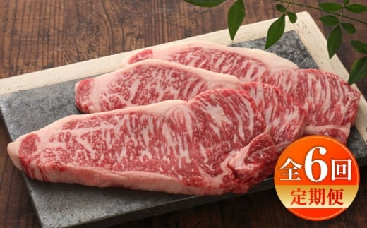 【全6回定期便】【GI認証】くまもとあか牛サーロインステーキ 約200g×3枚 /  菊陽町 あかうし 熊本県 肉 にく niku ブランド 旨み くまもとあか牛 和牛 阿蘇 自然 自社牧場 直接 最高 上質 牛 牛肉 ぎゅうにく ぎゅう肉 冷凍 贅沢 ご褒美 九州 国産 GI【有限会社 三協畜産】[BHAS067]