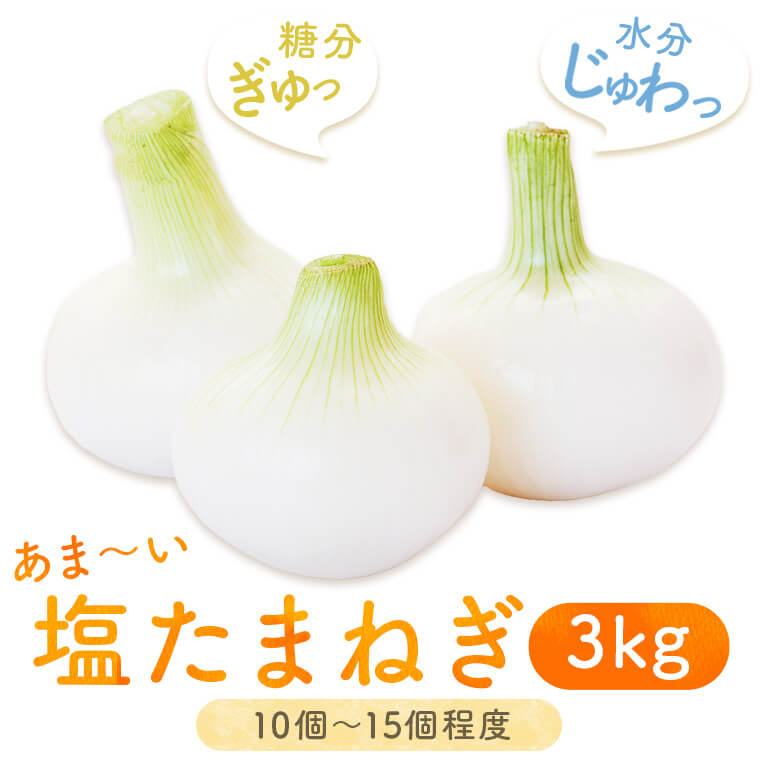 【ふるさと納税】 湯田口海岸産 塩たまねぎ 約3kg 【3月以降順次発送】【3月31日まで申込受付】 新玉ねぎ 玉ねぎ 塩玉ねぎ 鹿児島県 薩摩川内市 送料無料 塩たまねぎ 塩タマネギ 塩玉葱 新玉ねぎ 新たまねぎ 新タマネギ 新玉葱 塩浜地区