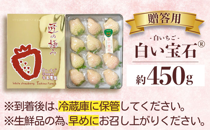 【令和6年分先行予約】【幻の白いちご】【化粧箱入り】白い宝石（贈答用）約450g / いちご 苺 白いちご フルーツ 果物 贈答用 / 佐賀県 / 手島農園 [41ABAB005]