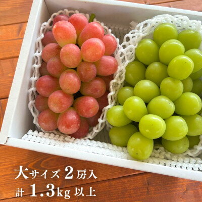 【ふるさと納税】【きよとうファーム】シャインマスカット&生産者いちおし葡萄 大サイズ2房入(岡山県産)【配送不可地域：離島】【1553232】