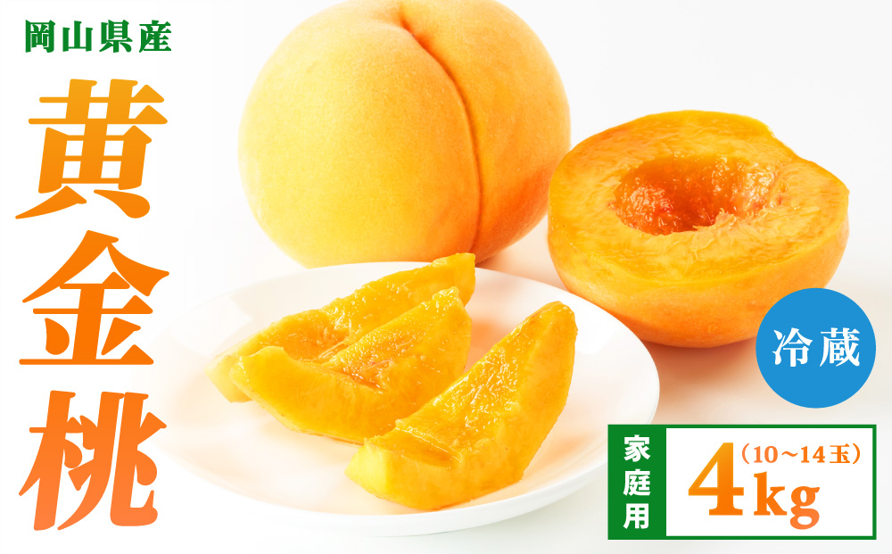 【先行予約】2026年9月発送【家庭用】岡山県産 黄金桃 4kg 4kg
