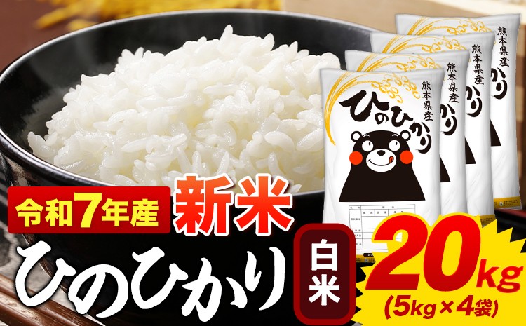 
            新米 白米 ひのひかり 20kg 令和7年産  熊本県産 ふるさと納税  白米 精米 ひの 米 こめ ふるさとのうぜい ヒノヒカリ コメ お米 おこめ 《12月中旬-2月末頃出荷》
          
