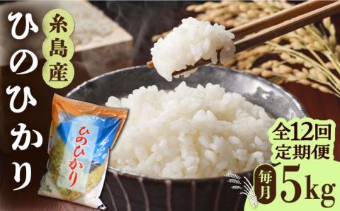 【先行予約】【全12回定期便】糸島産 ひのひかり 5kg × 12回  糸島市 / 三島商店 米 お米 ご飯 白米 ヒノヒカリ ひのひかり 九州 福岡 [AIM010] 白米米 白米お米 白米ご飯 白米ヒノヒカリ 白米ひのひかり 白米九州 白米福岡 白米5キロ 白米定期便