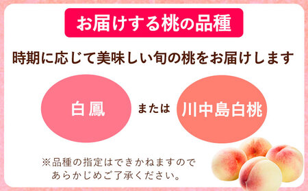 桃 あら川の桃 訳あり ご家庭用 4kg 坂口農園《2025年6月下旬-8月下旬頃より出荷予定》 和歌山県 紀の川市 桃 もも モモ 白鳳 日川白鳳 紀の里白鳳 清水白桃 川中島白桃 なつっこ あら川