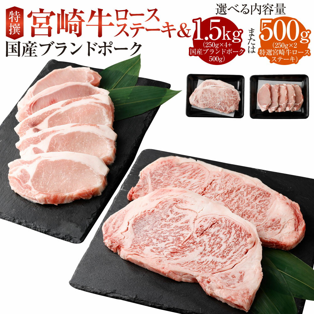 【ふるさと納税】＜特選宮崎牛ロースステーキ 1kg＋ブランドポーク100g×5枚＞または＜特撰宮崎牛ロースステーキ 500g＞※入金確認後、2026年2月より順次出荷します。 黒毛和牛 花いちもんめ 宮崎牛 和牛 牛肉 肉 ロース ステーキ 特産品 宮崎県 高鍋町 【冷凍】