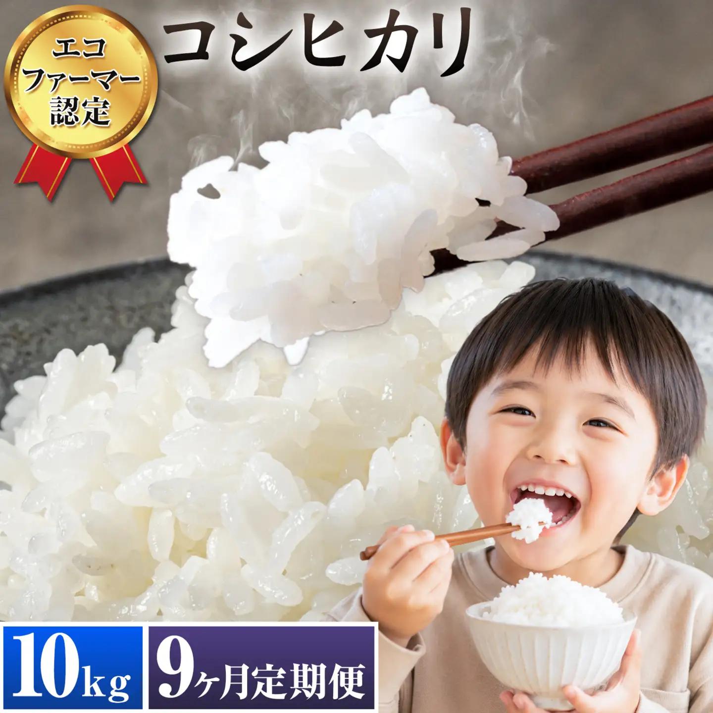米 コシヒカリ 白米 10kg 9ヶ月 定期便 新宿営農組合 米