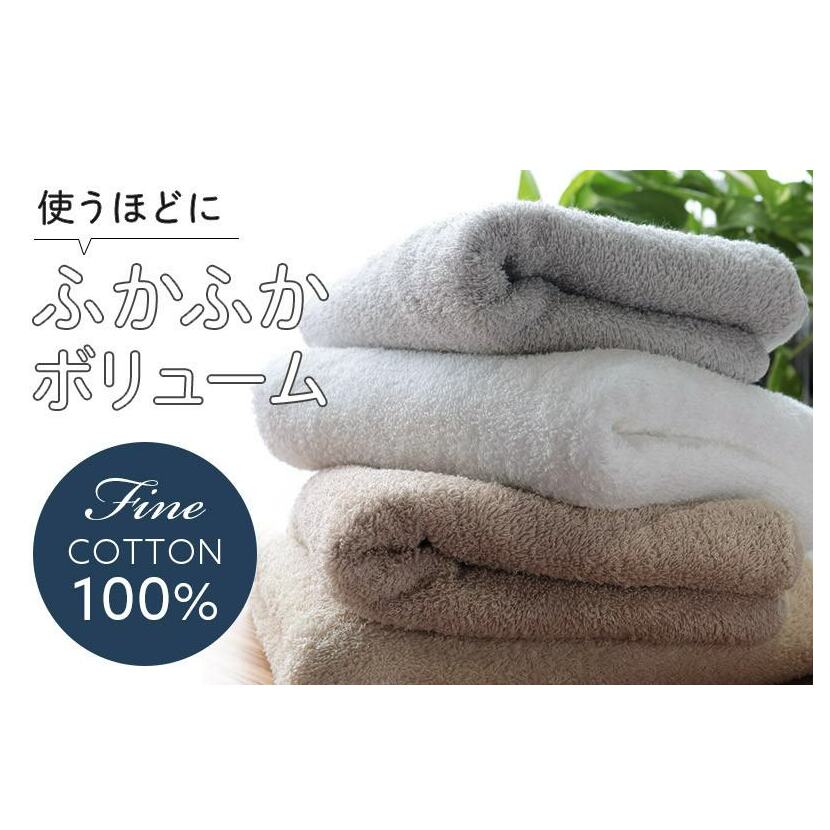 【スピード発送】 ヒオリエ ホテルタオル バスタオル 2枚 ライトグレー【タオル 泉州タオル 吸水 普段使い 無地 シンプル 日用品 ふわふわ ふかふか 家族 泉州タオル】 099H1905_イメージ