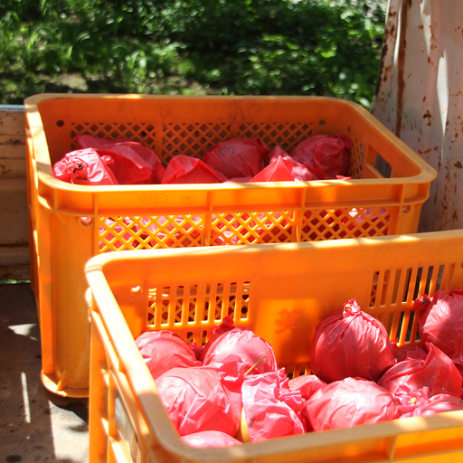 【先行予約】中野農園 梨 ”新甘泉” 5kg 冷蔵便｜鳥取 岩美 梨 なし ナシ 赤梨 果物 フルーツ ※お届けは2026年8月下旬頃～【41081】