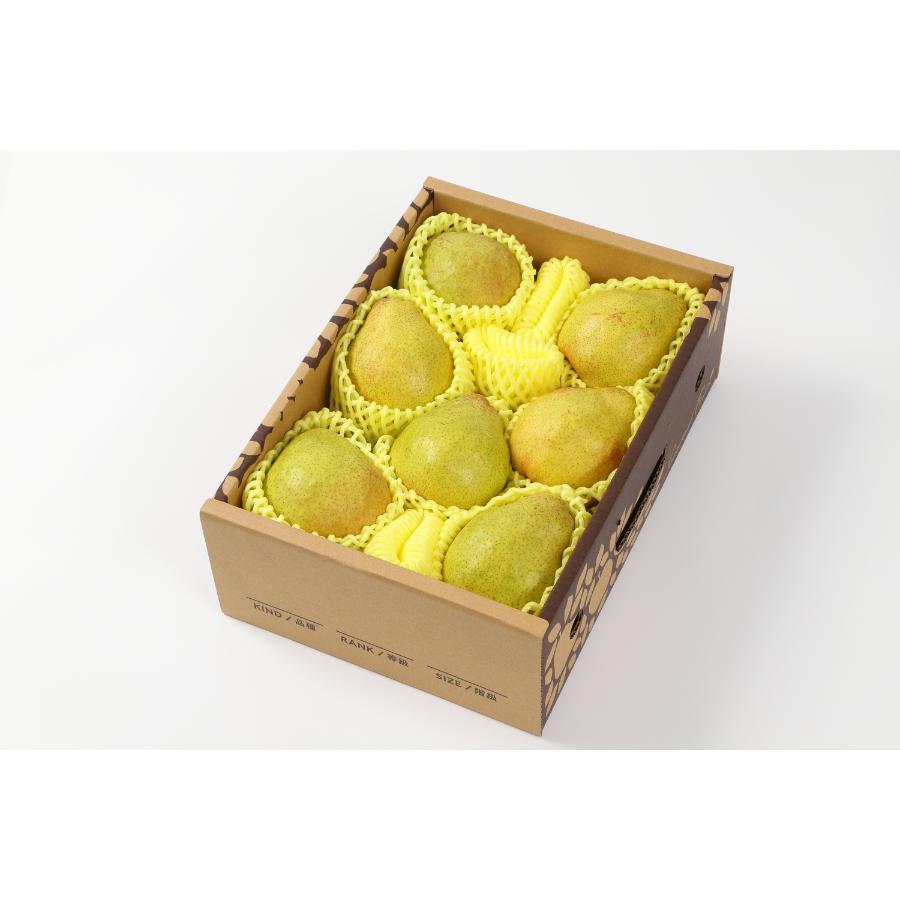 ＜アンスリーファーム＞西洋梨「ラ・ネージュ」2kg（5～8玉） 特秀品