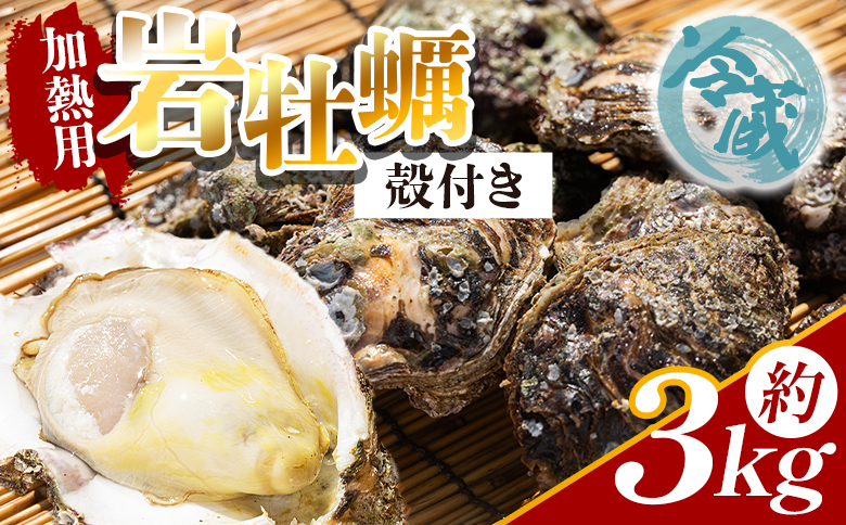 岩牡蠣(殻付き) 3kg 冷蔵 加熱用 - 国産 カキ かき 牡蠣 魚介 海鮮 貝類 殻つき 天然 産地直送 肉厚 フライ 焼き牡蠣 海の幸 えび蔵 高知県 香南市 冷蔵 eb-0009