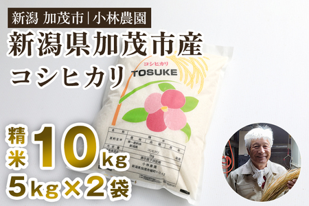 【令和7年度産新米先行予約】加茂市小林農園のコシヒカリ 10kg（5kg×2袋）《9月中旬から順次出荷》 新潟産コシヒカリ コシヒカリ 米 9月発送 米 9月発送