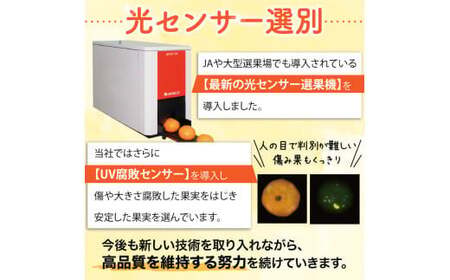【2024年12月発送予約分】【農家直送】【家庭用】＼光センサー選別／ こだわりの有田みかん 約4kg 先行予約 有機質肥料100% サイズ混合 【nuk148-2】
