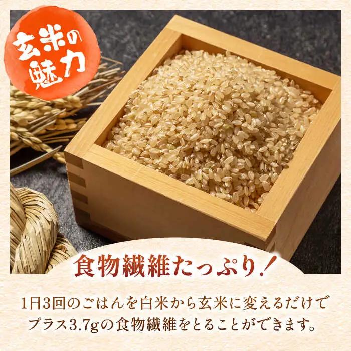 佐賀県産米 さがびより玄米 3kg 米 お米 玄米 ブランド米 国産米[FCW002]