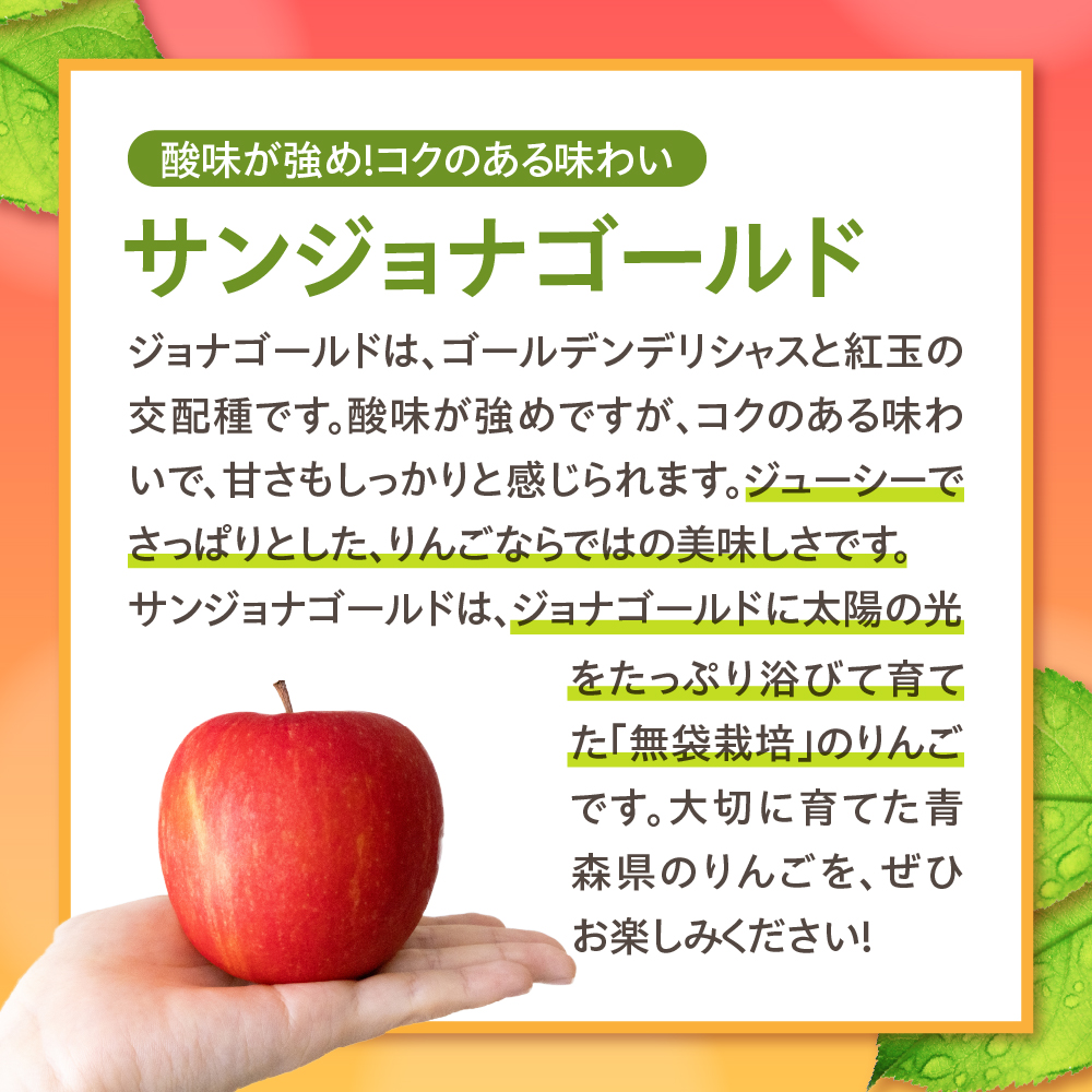【2026年10月後半以降順次発送】訳あり りんご 10kg 程度 サンジョナゴールド 青森県産