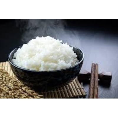 ふるさと納税 三豊市 ふるさと納税　白米【新米コシヒカリ10.0kg】三豊市産 |  | 03