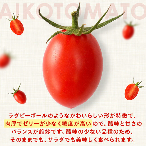 ［2026年6月出荷分］和歌山産ミニトマト「アイコトマト」約1kg（S・Mサイズおまかせ）［TM233］