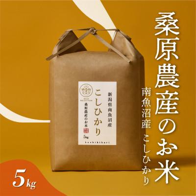 ふるさと納税 南魚沼市 令和7年産　予約　日本のお米の最高峰 南魚沼産こしひかり5kg 山間地限定米 桑原農産のお米