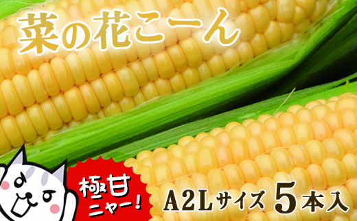 とうもろこし 甘い 菜の花こーん 2026年 朝採れ 極甘 5本 A2Lサイズ 高糖度 濃厚 生食 産地直送 朝 もぎたて トウモロコシ 新鮮 サラダ 生野菜 野菜 スイートコーン コーン toumorokoshi 焼きとうもろこし BBQ ギフト 贈答品 岩手県 一関市 東北【2026年7月下旬から発送中】