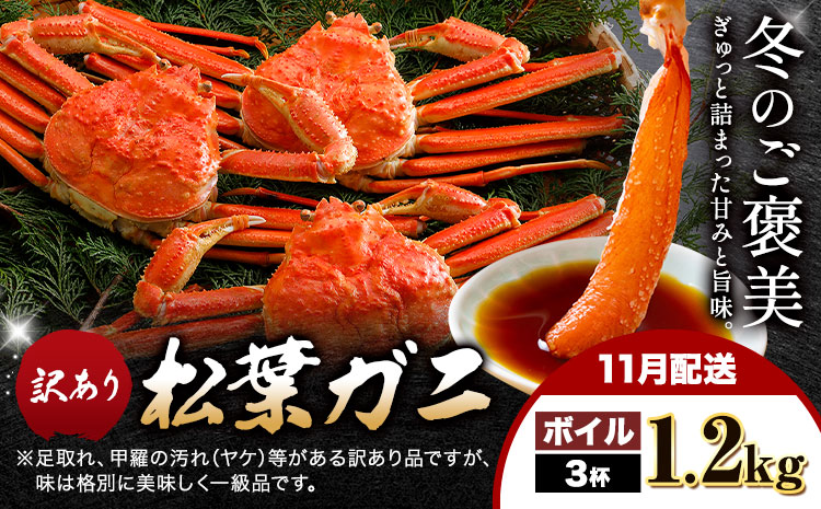 【ふるさと納税】カニ 松葉ガニ 訳あり 400g ボイル 3杯《11月発送》 SOO合同会社 鳥取県 八頭町 送料無料  蟹 かに 姿 鍋 ズワイガニ  ズワイ蟹 ボイル 松葉ガニ 訳アリ