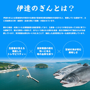 伊達の銀鮭モンゴル岩塩漬け 10切入（2切×5パック）