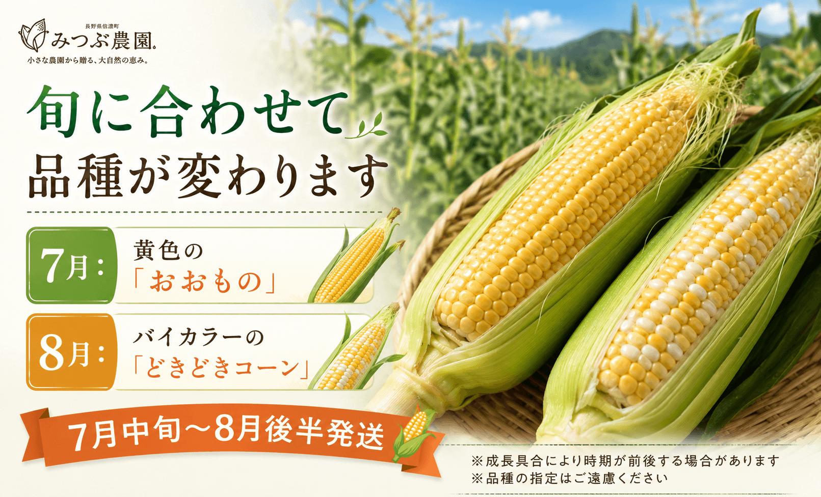 7月は驚圧倒的な糖度を持つ黄色の「おおもの」、8月は抜群の食感とコクを誇るバイカラーの「どきどきコーン」をお届け。