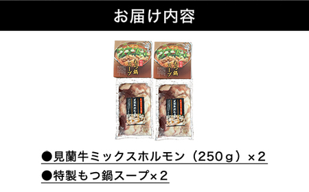 見蘭牛もつ鍋セット（2～3人前）｜HG0031-A