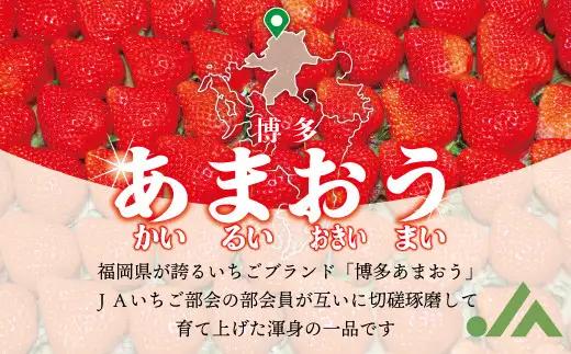 【2027年2月より順次発送】博多あまおう2パック 約500g[H2242]