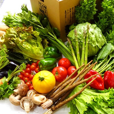 
                  しまなみ彩野菜セット 今治産 野菜 詰合せ  [VB00100]
                