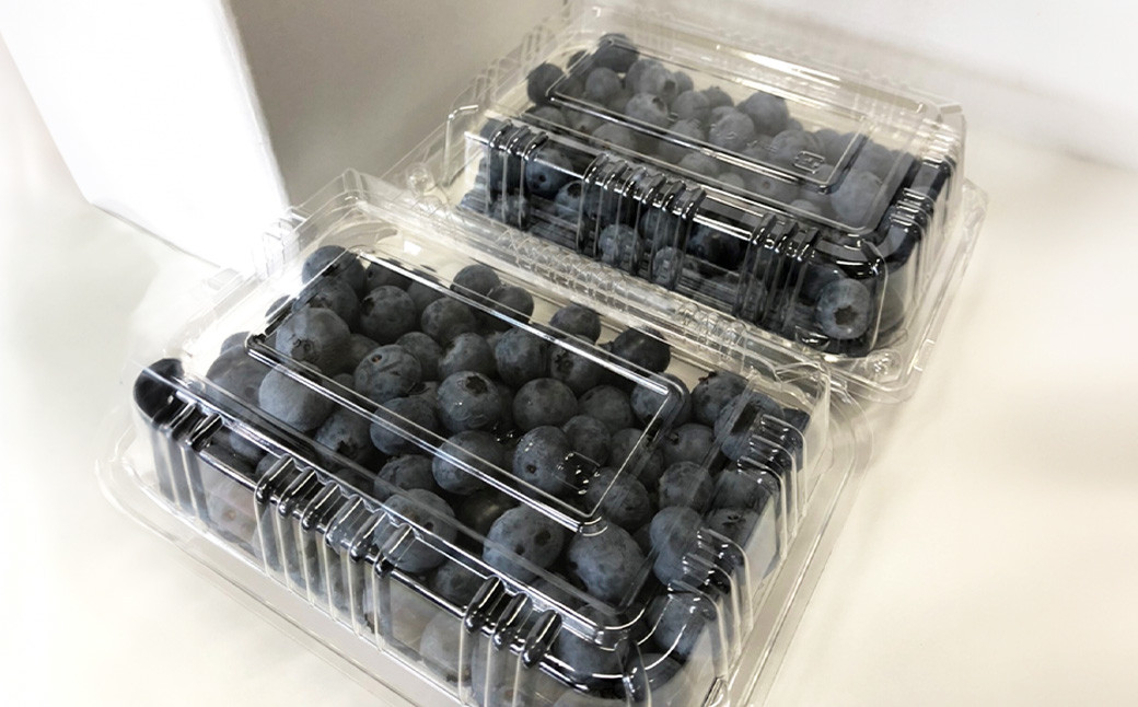 生ブルーベリー  約700g (約350g×2パック) 冷蔵
