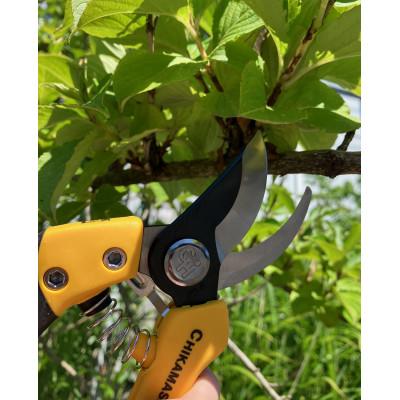 ふるさと納税 和泉市 【剪定鋏8】◇近正のハサミ PSB-8Y 8インチ |  | 01