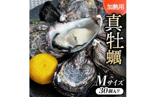 ＜Mサイズ30個入り:約60～41g/個＞加熱用真牡蠣　深日オイスターファーム直送　専用ナイフ付き　【1570850】