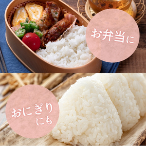 和歌山県産キヌヒカリ 5kg（2024年産）［SL27］【sml101B】