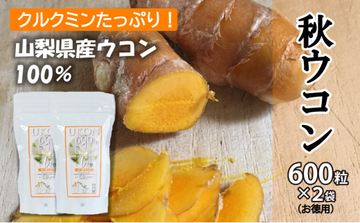 ＜健康食品＞秋ウコン600粒 2個セット（お徳用）【050-002】
