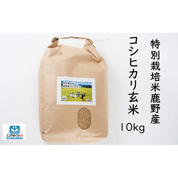 【ふるさと納税】特別栽培米鹿野産コシヒカリ玄米10kg（10kgx1袋)＊北海道・沖縄・離島への配送不可＊ | 山口県 周南市 山口 周南 支援品 支援 返礼品 返礼 お取り寄せグルメ 取り寄せ グルメ お米 おこめ こめ コメ 米 こしひかり コシヒカリ 玄米 10キロ 特別栽培米