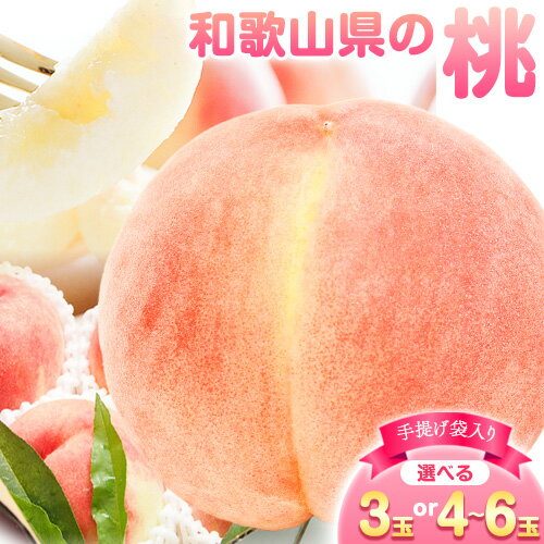 【ふるさと納税】和歌山県の桃 選べる 3玉 4-6玉 手提げ袋入り もも 株式会社ふるーつふぁーむわかやま 《7月上旬-8月中旬頃出荷》 和歌山県 紀の川市