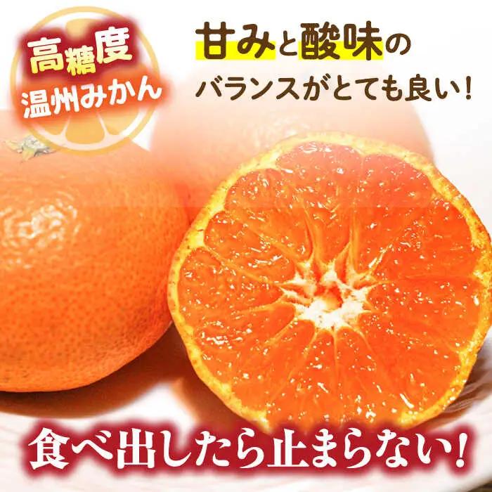 【2026年11月下旬-発送】温州みかん 約10kg（傷もの）南島原果物屋 [SCV015] みかん