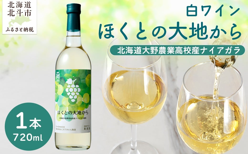 
            白ワイン「ほくとの大地から」～北海道大野農業高校産ナイアガラ～白720ml 【 ふるさと納税 人気 おすすめ ランキング ワイン 白ワイン ライト 720ml 葡萄 ぶどう 果実酒 お酒 セット 詰合せ ギフト 贈答 贈り物 プレゼント お祝い 北海道 北斗市 送料無料 】 HOKJ008
          