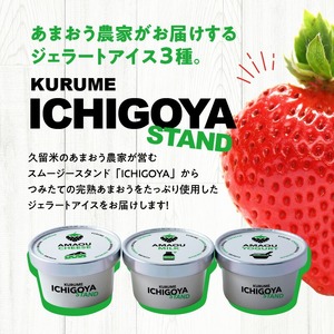 【ICHIGOYA】福岡県産 完熟あまおう ジェラート(アイス) 3種×2個(計6個) レアチーズ！ミルク！ヨーグルト！_ICHIGOYA 福岡県産 完熟 あまおう ジェラート アイス 3種 × 2個 計 6個 レアチーズ ミルク ヨーグルト セット デザート カップアイス アイスクリーム 冷凍 お取り寄せ お取り寄せスイーツ 福岡県 久留米市 送料無料 〔Dw016〕
