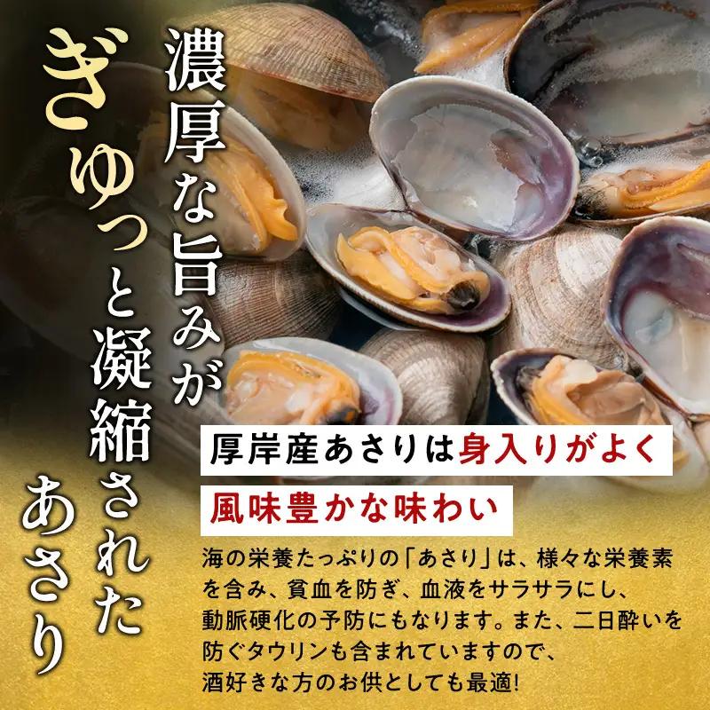 訳あり 活あさり 500g×2 (合計1kg) 砂出し済み 冷蔵 あさり