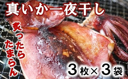北三陸産 真イカの一夜干し 3枚入×3袋 いか一夜干し いか イカ焼き イカ飯 BBQ イカゲソ