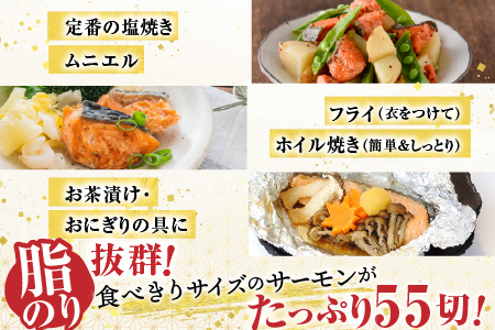 塩トラウトサーモン切身1切真空×55P B-09120
