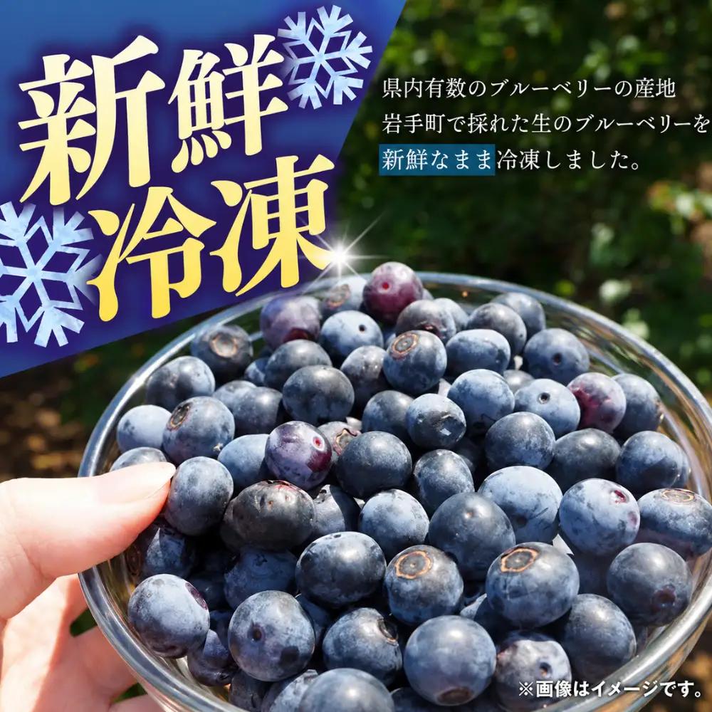 ブルーベリー 冷凍 1kg フルーツ ベリー 果物