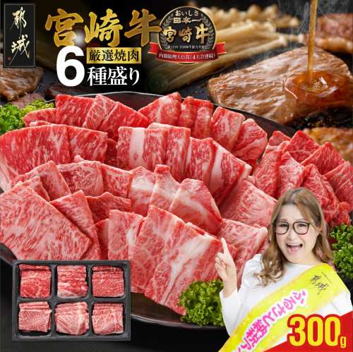 宮崎牛6種盛り焼肉食べ比べ300g+粗挽きウインナー90g×2袋_16-N204-ESW-CF
