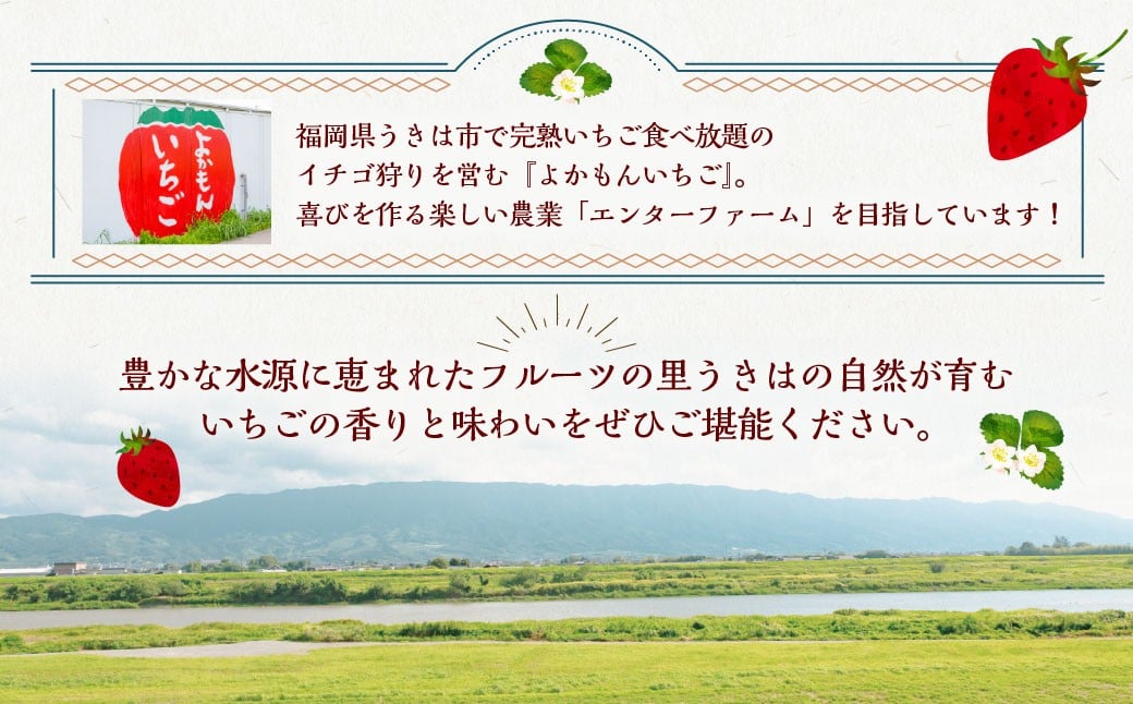 よかもんいちご あまおう苺セット4パック